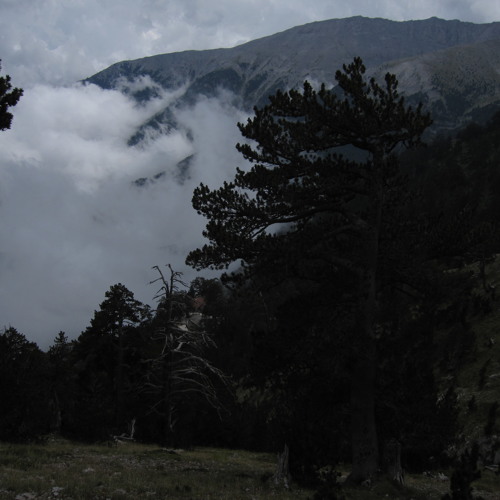 Soundscapes of Mt. Olympus  - From summits to the gorge