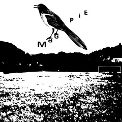The Ledge (Fleetwood Mac Cover)