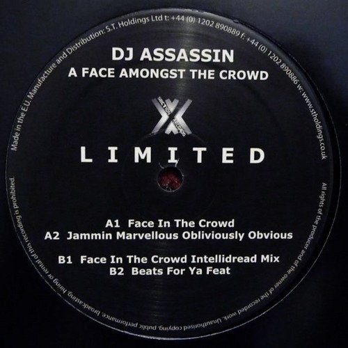 DJ Assassin - Face In The Crowd