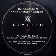 DJ Assassin - Jammin Marvellous Obliviously Obvious