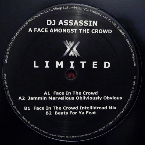 DJ Assassin - Face In The Crowd (Intellidread Mix)
