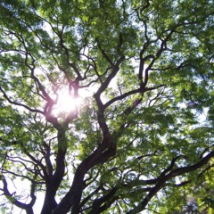 Gewartet - fun recording from 2007