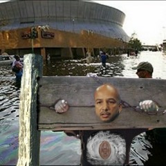 #MazeSaid | The Commentators | Chicago Tribune Kristen McQueary Doesn't Like Black People