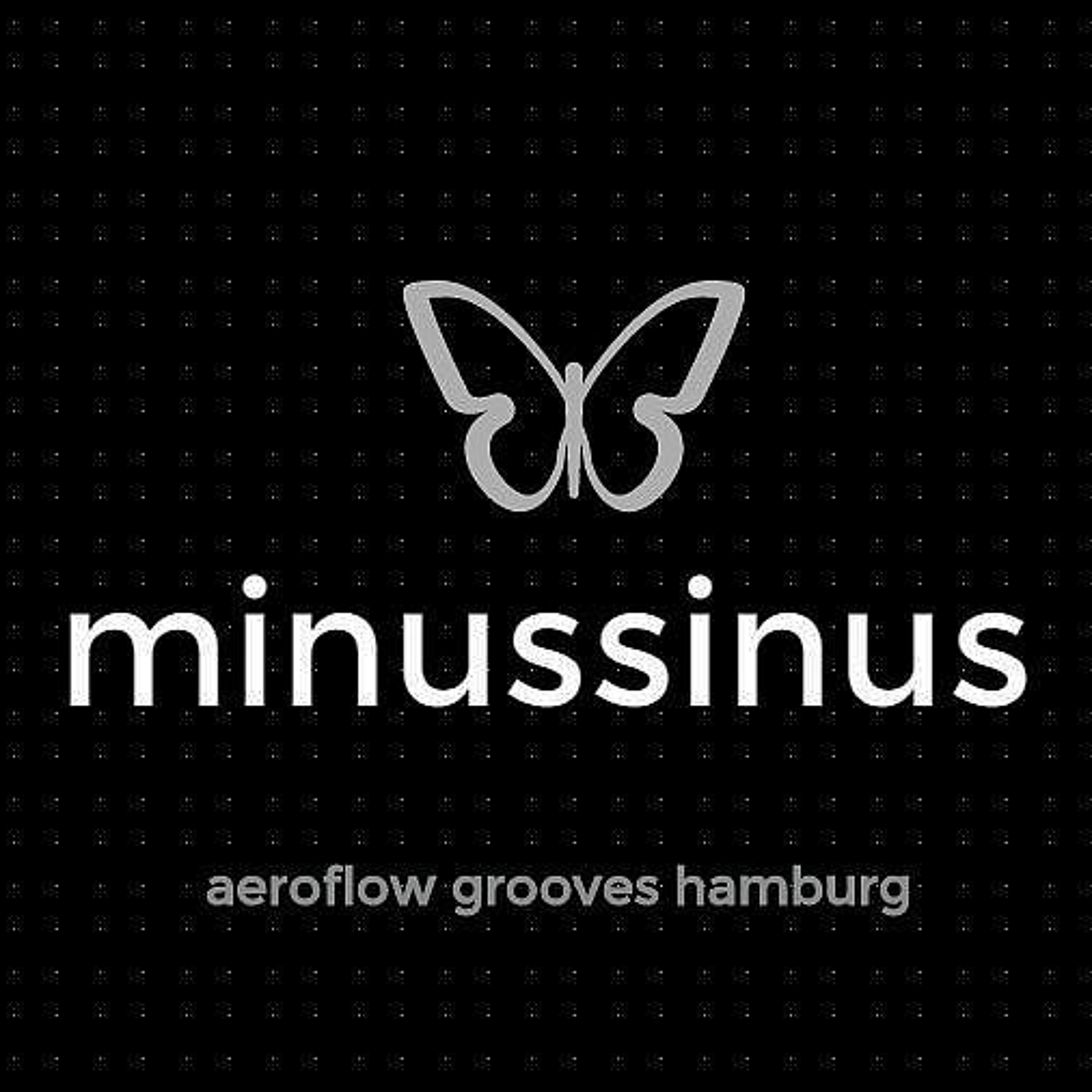 minussinus - Fragmentalmodulation in D episode artwork
