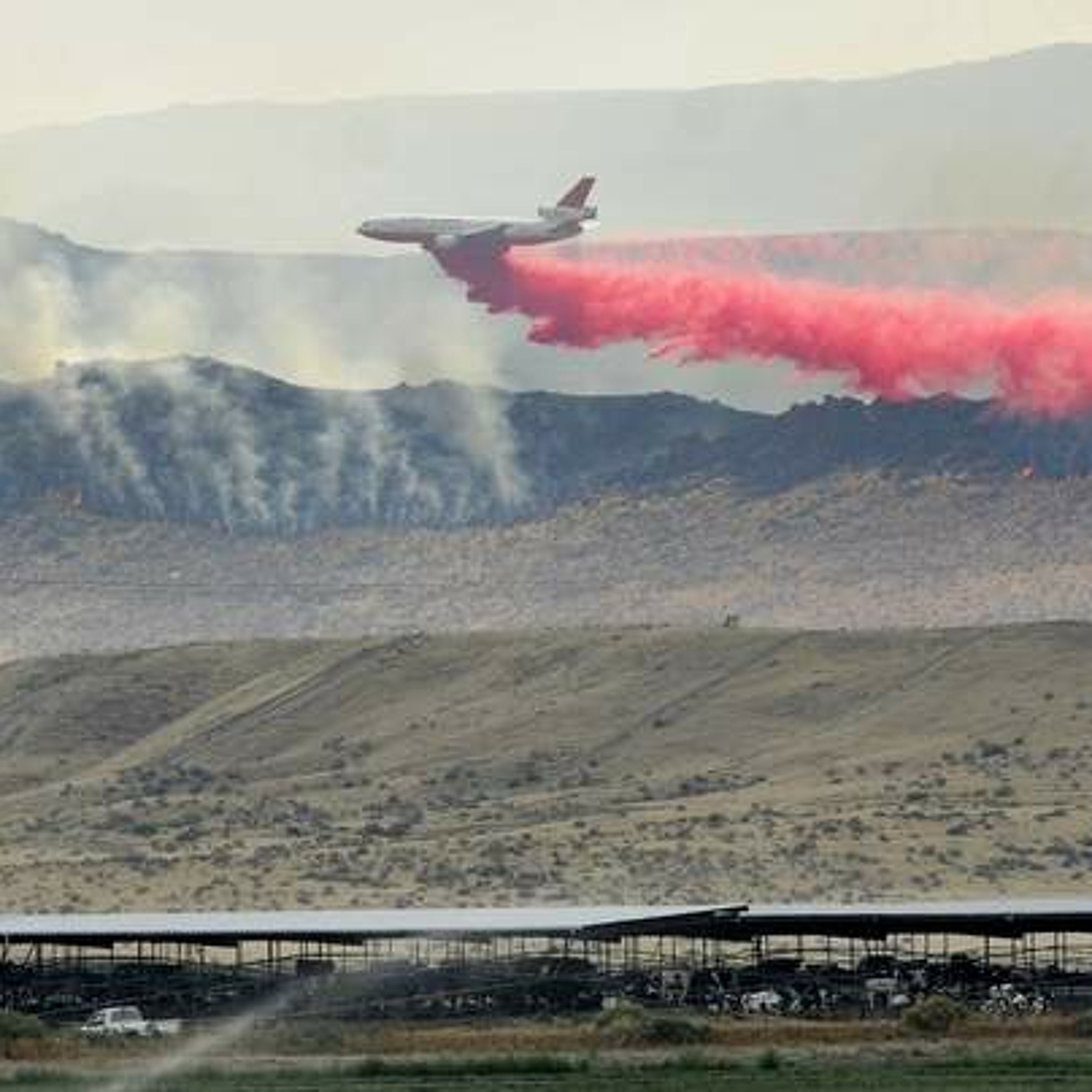 Farmers should report fire drought losses to FSA officials say. Ag Minute Aug. 24, 2015 episode artwork