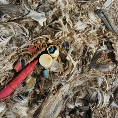Plastic Master 2