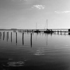 Devoción Por Formas Raras