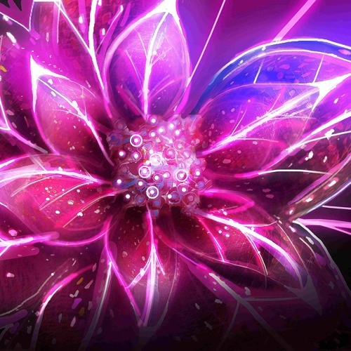 Joy Of Life Mix