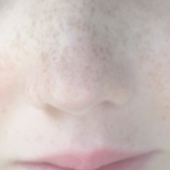 Scarecrows in my shell