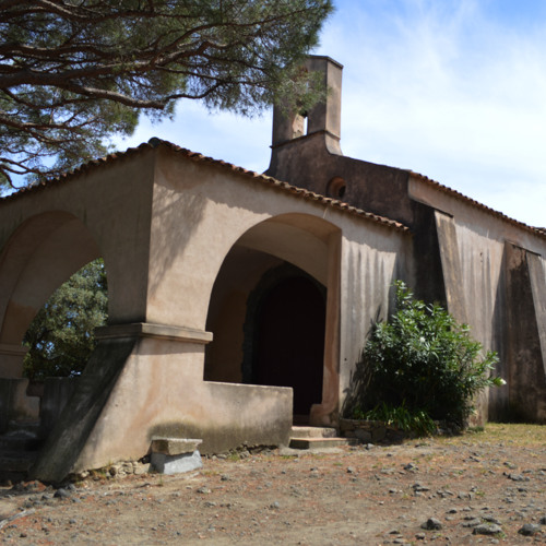 Lost Sight and Seeking Shelter