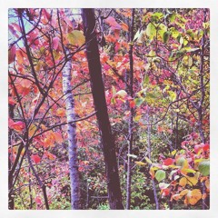 Something So Simple (Nurse St. Cloud 2011)