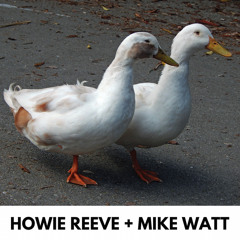 Howie Reeve & Mike Watt - Absent Friends