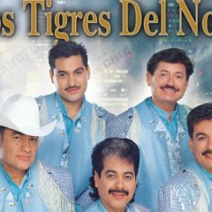 especial de los tigres del norte 30 minutos