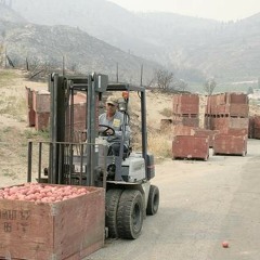 Apple price recovery may take time, expert says. Ag Minute for Aug 25, 2015