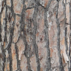 You will lose all fear.