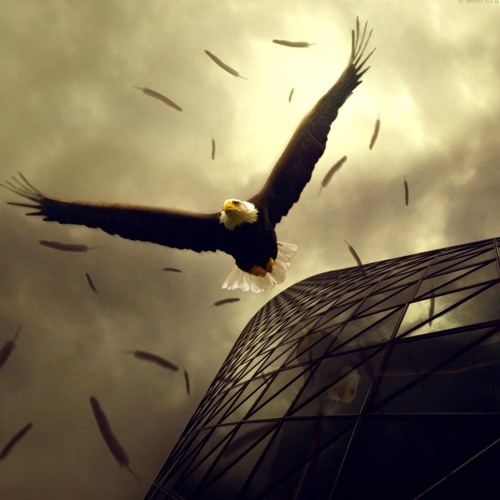 Stream Joel Fajerman Inventions Of Life Flower's Love by