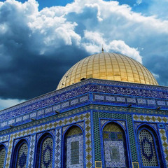 تميم البرغوثى