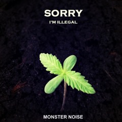 (Dj Set) Sorry i'm illegal