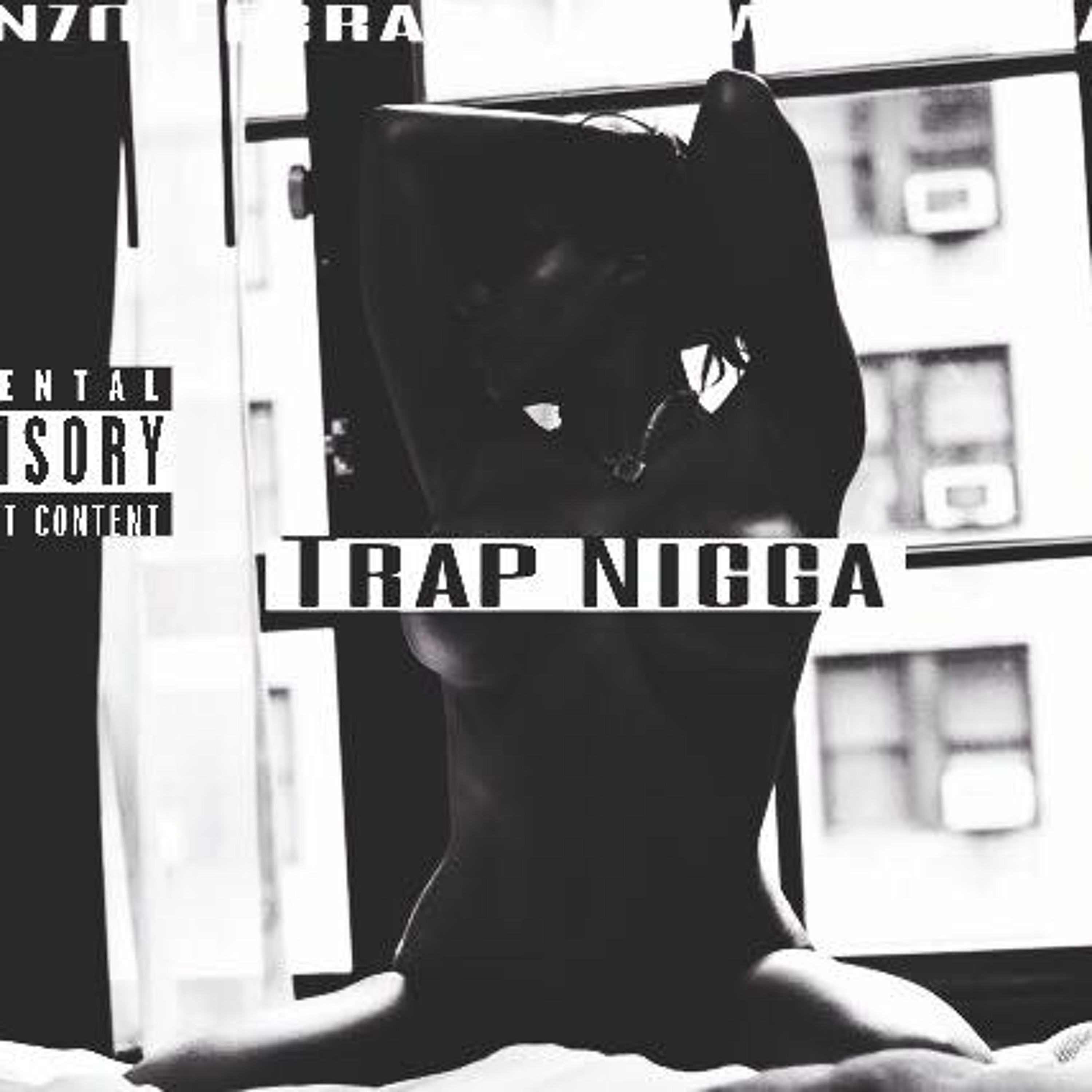 She Love a Trap Nigga (Prod By Metro Boomin  x TM88) episode artwork