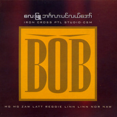 စာမျက်နှာ ၁၅ - လေးဖြူ (၂၀၀၈)