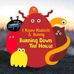 I Know Karate & Bunny - Burning Down The House (Original Mix)