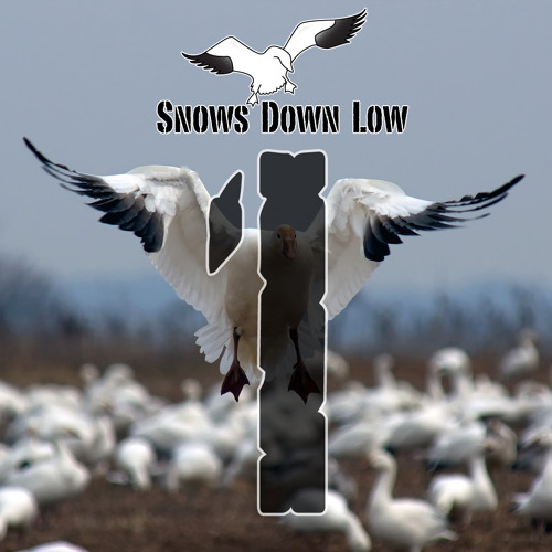 01 Ground Work (sample) by Snows Down Low Free Listening