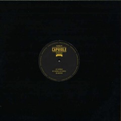 b1.Pashnlips - Capriole (Sit Remix)
