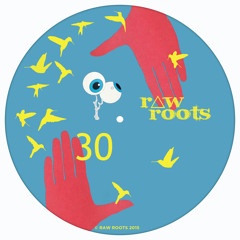 Daniel Herrlicher - View Of A Room - Rockwell & Landers Remix [RAWROOTS030]