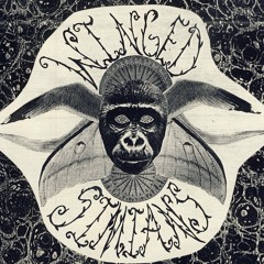 Winged Simians - Moon Tears
