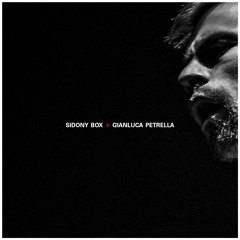 SIDONY BOX+GIANLUCA PETRELLA   -ZEBRE (RADIO EDIT)-