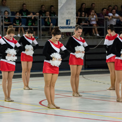 Vivace Dance Senior Pom 2014 2015