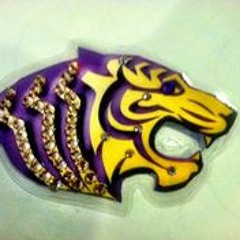 13 Ante Up (Robbin Hoodz Theory) (Fr