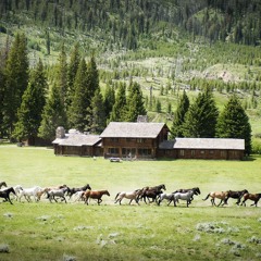 MB Beats - Amintire Cu Haiduci