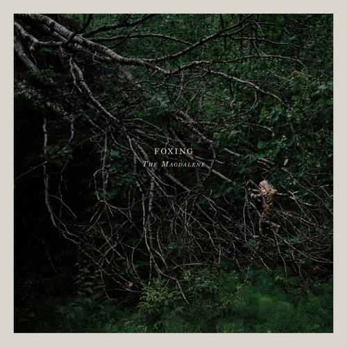 Foxing - "The Magdalene"