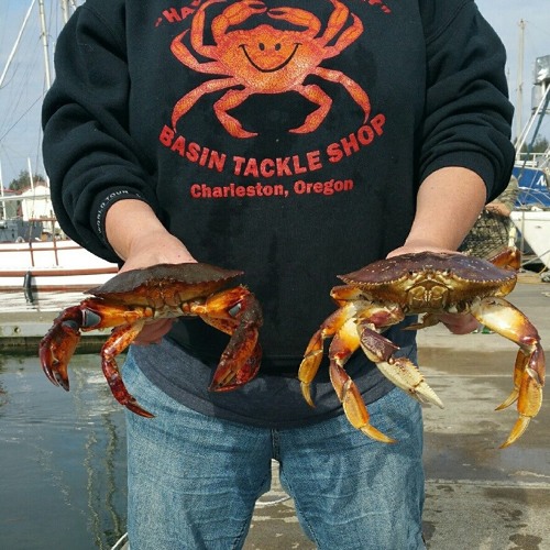 Stream Fishing Report 8/24/15 Charleston, Coos Bay, Oregon Area by