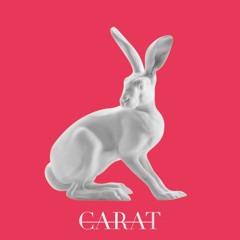 Bibi Bourelly - RIOT (CARAT REMIX) [Click ''buy'' for free download]