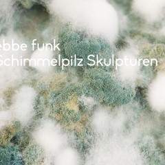 Ebbe Funk - Schimmelpilz Skulplturen