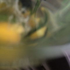 2Pac Ft. Malcolm X - Me And You Against The Nation ▽ (with Lyrics) HD 2014