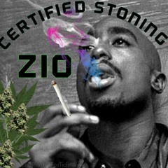 Zio - Certified Stoning