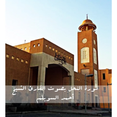 سورة النحل بصوت القارئ الشيخ أحمد السويلم