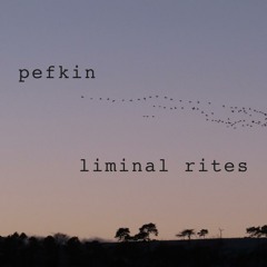 PEFKIN - These Blazing Stars