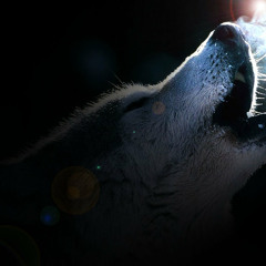 FLY HIGH UNDERGROUND