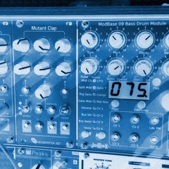 JoMox Modbase 09 into Mutant Bassdrum distortion