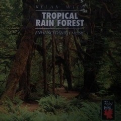 Relax With... Tropical Rain Fores (Enhance with Music)
