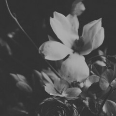 Diesel Power (The Prodigy) x Dedede Battle (Nightmare in Dreamland)