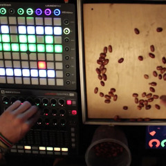 Pangani - Foggy Fungus (Live)