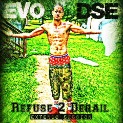 THE LITTLE THINGS - EVO