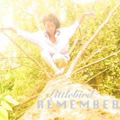 Littlebird (Live)