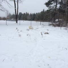 Leaving Massachusetts