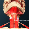 Capa de GASTROENCEPHALITIS